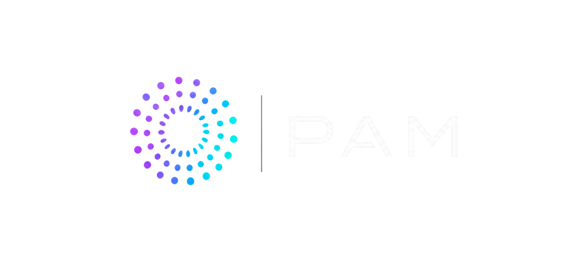 PAM GPT